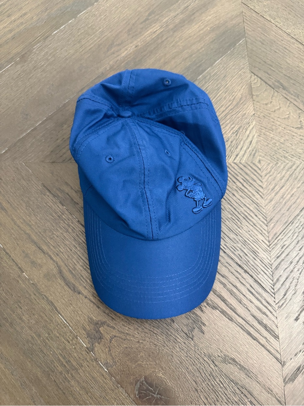 Disney Parks Blue Adjustable Baseball Hat
